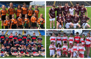 Cumann na mBunscol Finals