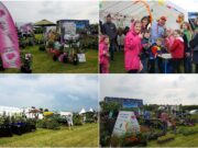 Laois Garden Festival