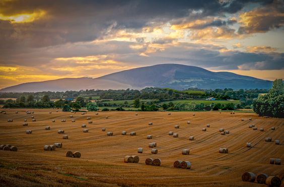 Slievenamon-3