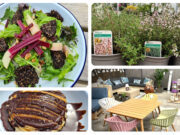 Solas Eco Garden Centre - June 22