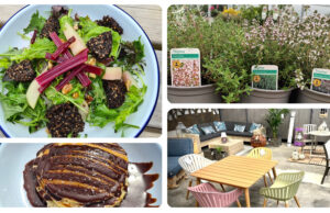 Solas Eco Garden Centre - June 22