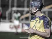 Abbeyleix General