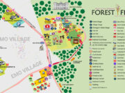 Forest Fest Site & Map