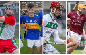 Hurling Team of the Week (2)