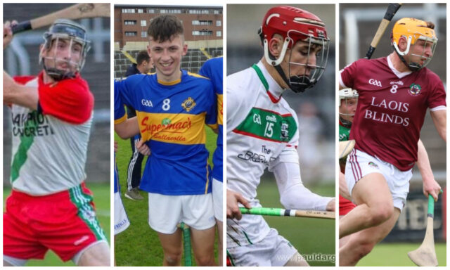 Hurling Team of the Week (2)