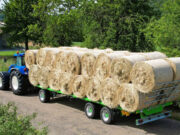 Straw