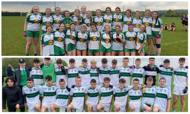 portlaoise feile teams