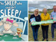 Brendan McDonald The Sheep Who Couldn't Sleep