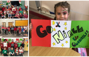 Castlecuffe and Scoil Bhride Clonaslee