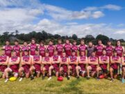 Leeside Lions AFL
