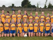 Sarsfields Junior Ladies