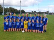 Sarsfields LJFC