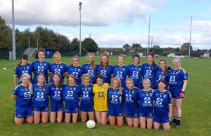 Sarsfields LJFC