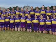 St Brigid's Camogie New