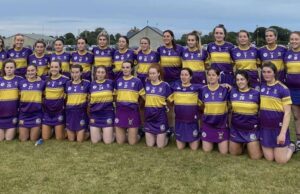 St Brigid's Camogie New