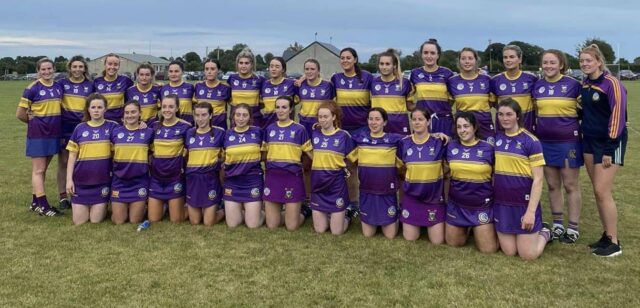 St Brigid's Camogie New