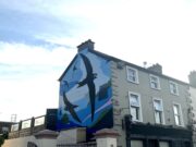 Swift Mural 6_Nina Horan