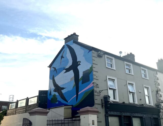 Swift Mural 6_Nina Horan