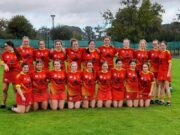 The Harps Juniors Camogie