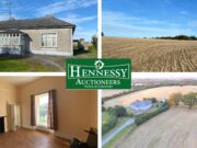 Hennessy Auctioneers Timahoe Main