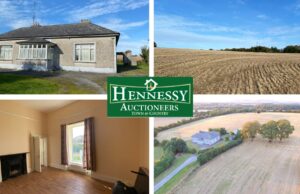Hennessy Auctioneers Timahoe Main