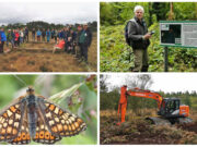 Abbeyleix Bog Project