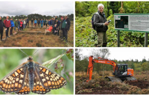 Abbeyleix Bog Project