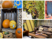 Solas Eco Garden Centre