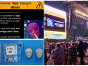 Electric Picnic HSE 1