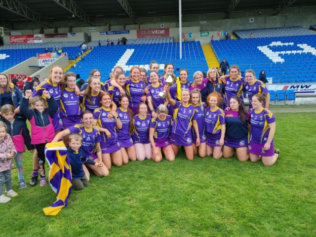 St Brigid's Camogie