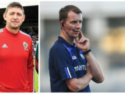 Seamus Dwyer James Stephens