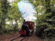 Stradbally Steam Train (4)