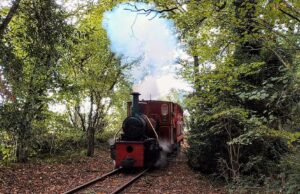 Stradbally Steam Train (4)