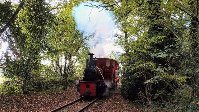 Stradbally Steam Train (4)