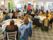 Culture & Creativity Strategy consultation 22