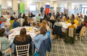 Culture & Creativity Strategy consultation 22