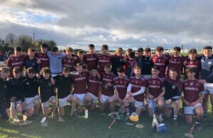 Heywood North Leinster Junior B champions