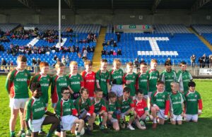 St Colman's Stradbally (2)