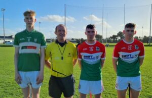 Na Fianna v Clonaslee hurling