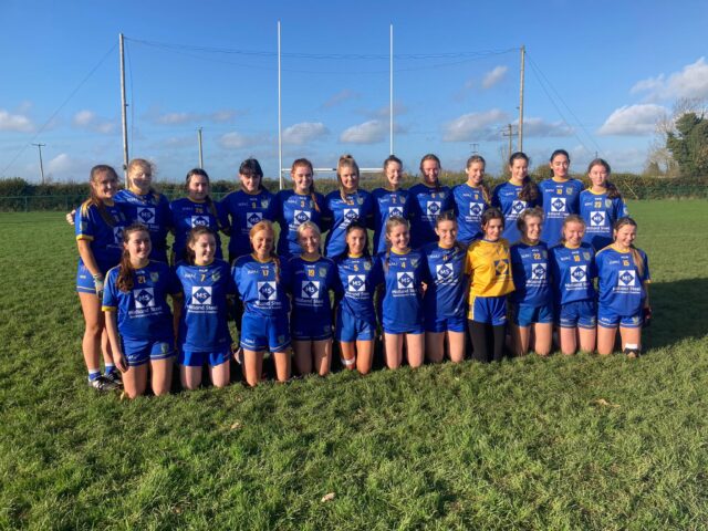 Sarsfields ladies minor football final