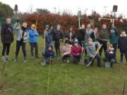 Tree Planting