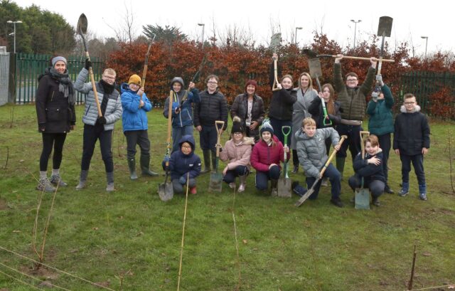 Tree Planting