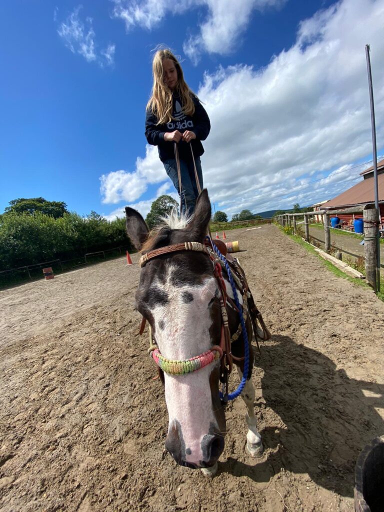 Laois teenager to represent Ireland at American Quarter Horse Youth