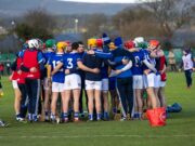 Laois hurlers