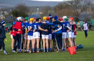 Laois hurlers