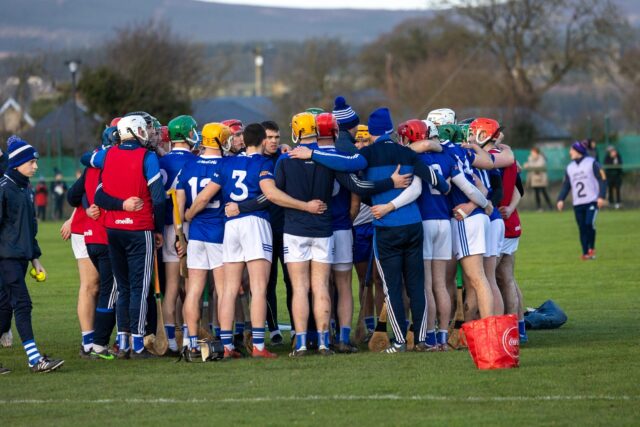 Laois hurlers