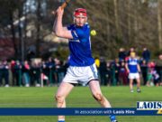 Laois hurlers general