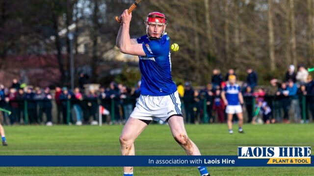 Laois hurlers general