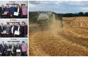 Grain Awards Edward Mulhall, Mark Onions, Robert and Paul Young