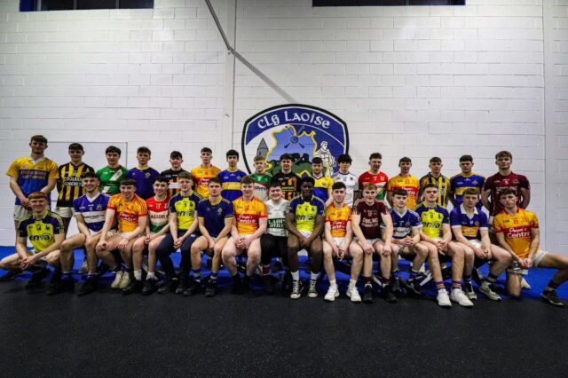 Laois U-20 hurlers (2)